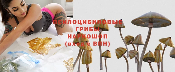 spice Армянск
