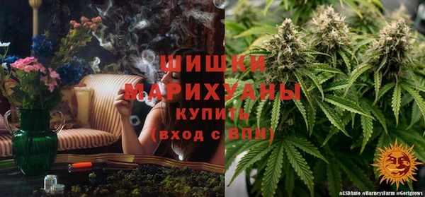 спайс Арсеньев