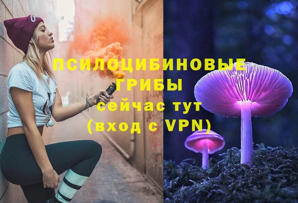spice Армянск