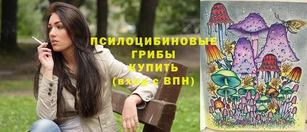 spice Армянск