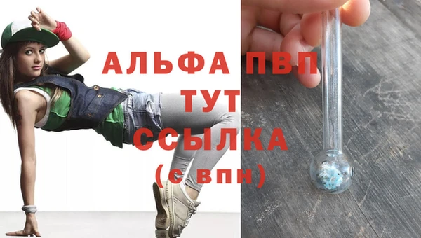 гидра Аркадак