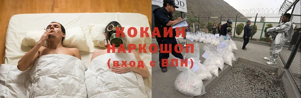 спайс Арсеньев