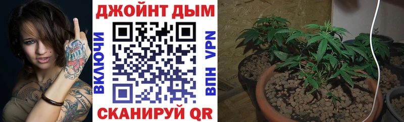 Шишки марихуана план Аркадак